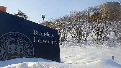 布兰迪斯大学